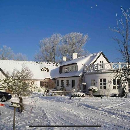 Kongsholmlund - Silent Retreat Villa Vejby Dış mekan fotoğraf