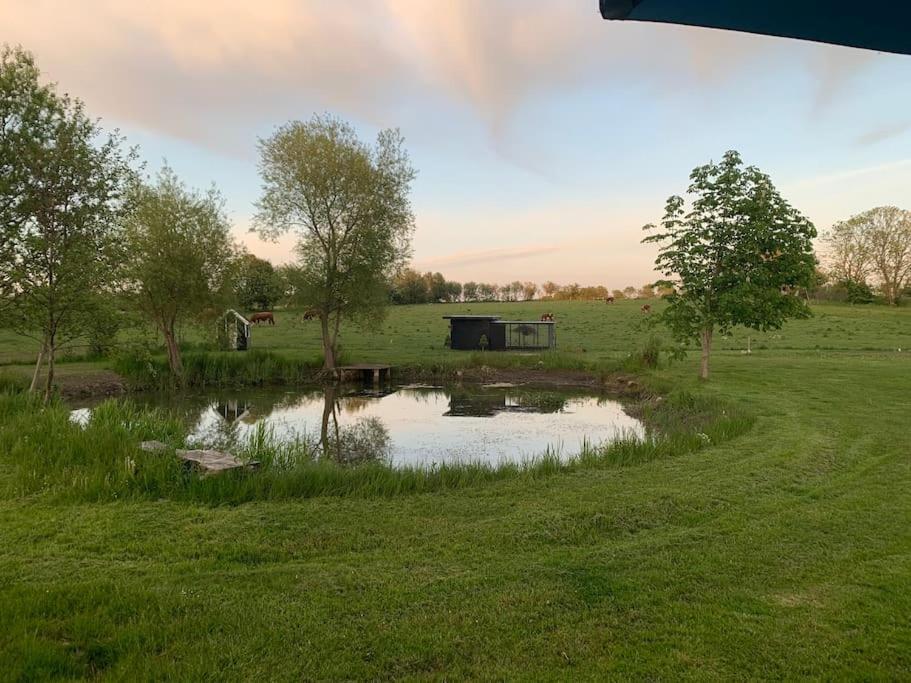 Kongsholmlund - Silent Retreat Villa Vejby Dış mekan fotoğraf