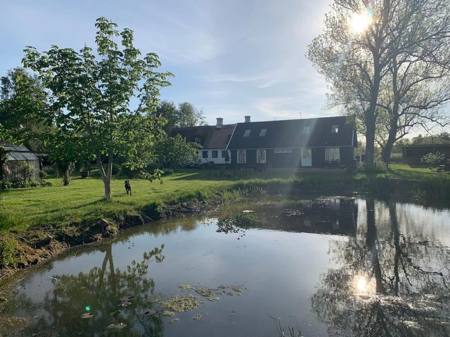 Kongsholmlund - Silent Retreat Villa Vejby Dış mekan fotoğraf