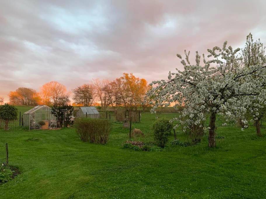 Kongsholmlund - Silent Retreat Villa Vejby Dış mekan fotoğraf
