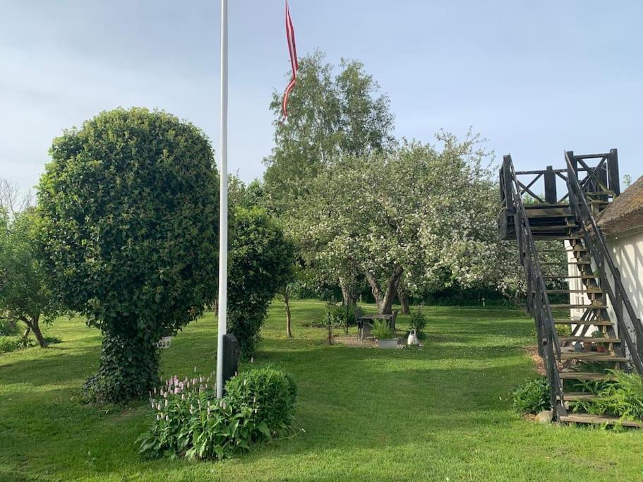 Kongsholmlund - Silent Retreat Villa Vejby Dış mekan fotoğraf