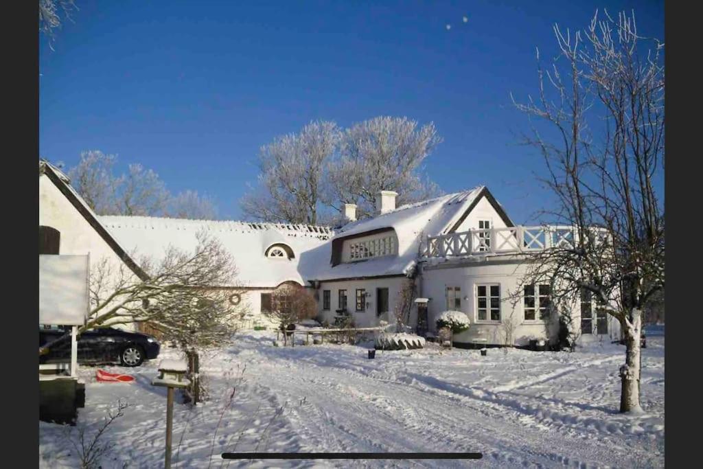 Kongsholmlund - Silent Retreat Villa Vejby Dış mekan fotoğraf