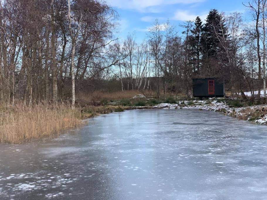 Kongsholmlund - Silent Retreat Villa Vejby Dış mekan fotoğraf